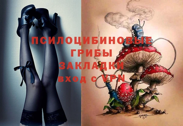 тгк Армянск