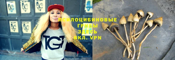 2c-b Арсеньев