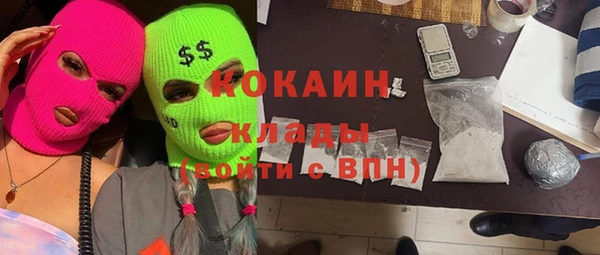 шишки Баксан