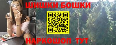 стаф Дубна