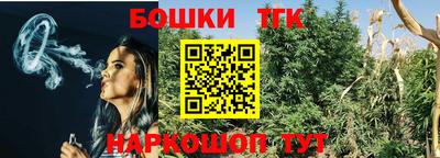 стаф Дубна