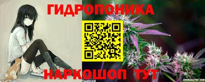 стаф Дубна