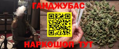 стаф Дубна