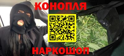 стаф Дубна
