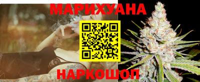 стаф Дубна