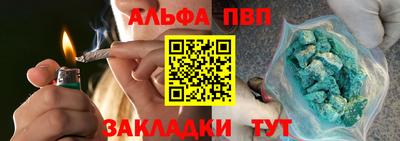 стаф Дубна