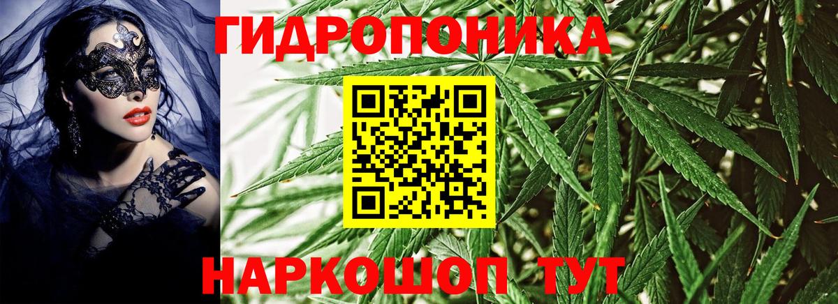 Минусинск  Марихуана тримм  Марихуана LSD WEED  Конопля планчик  Конопля OG Kush  Вход с VPN 